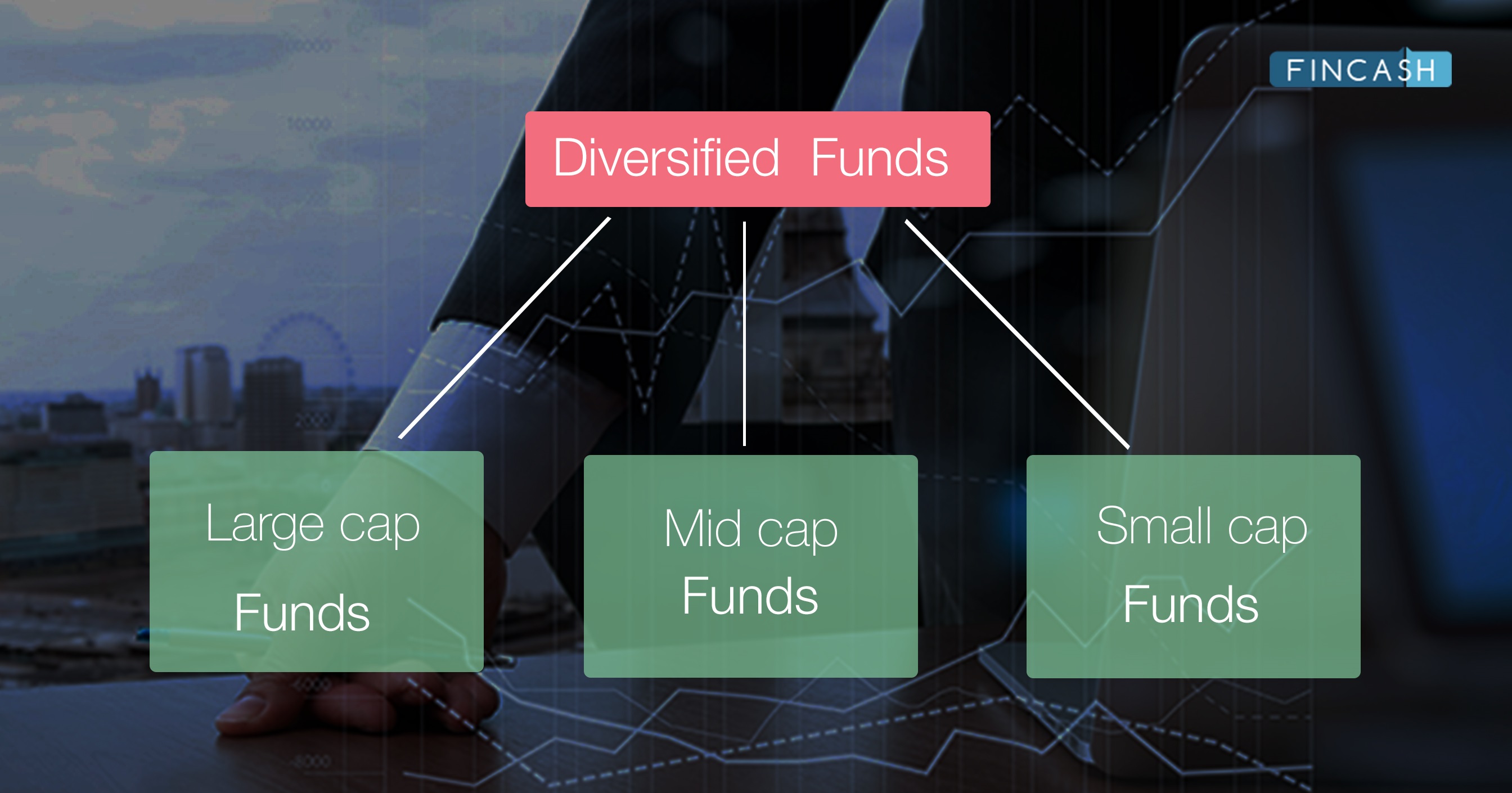 Diversified Stock Funds